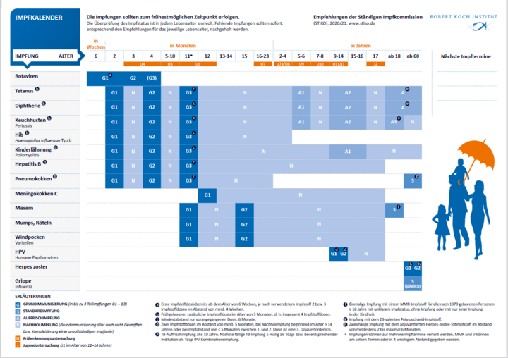 Impfkalender: Wann sollten Impfungen bei wem erfolgen?